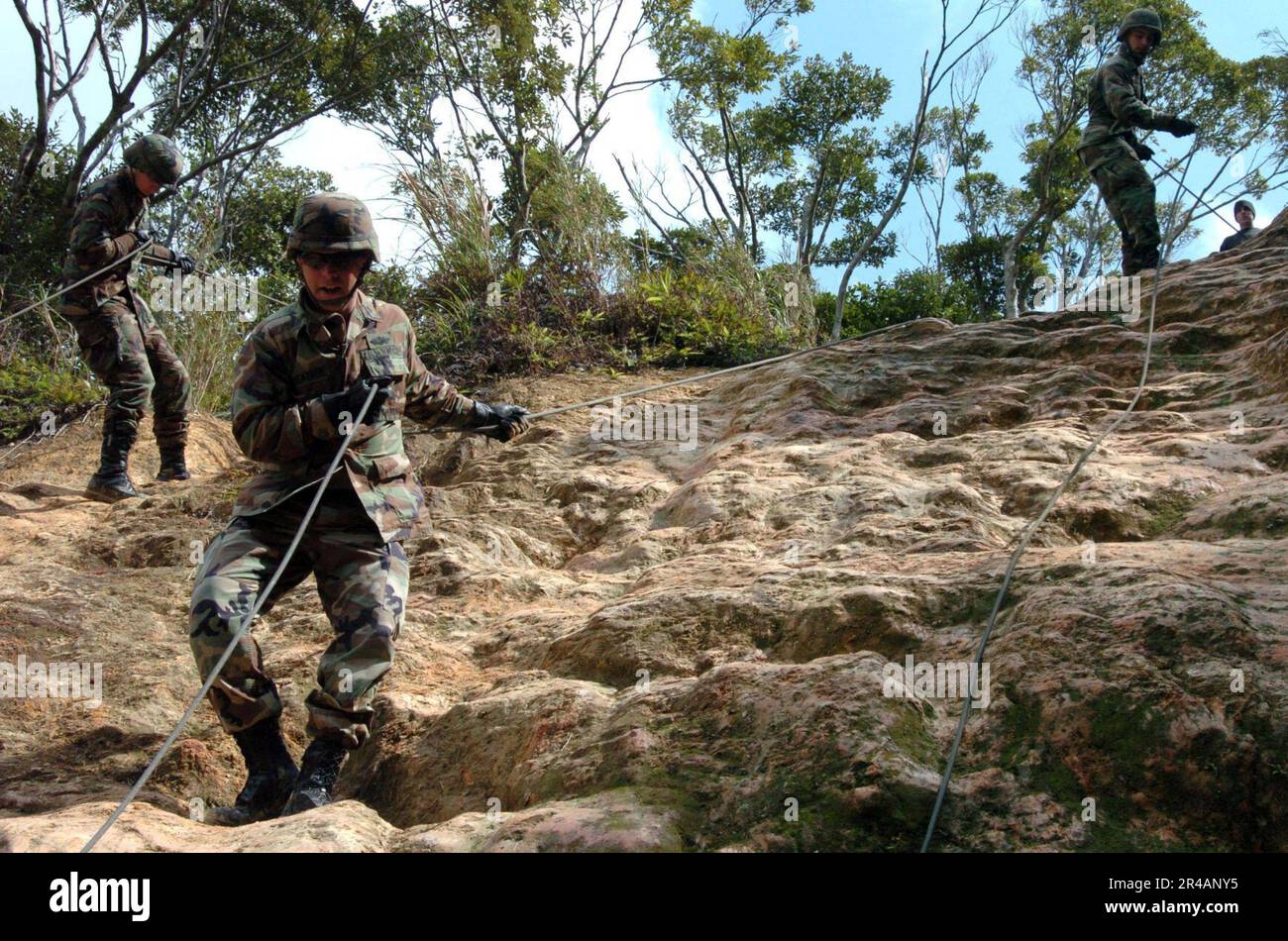 Us Navy Seabees Assigned To Naval Mobile Construction Battalion Four Zero Nmcb 40 Rappel Down 3125