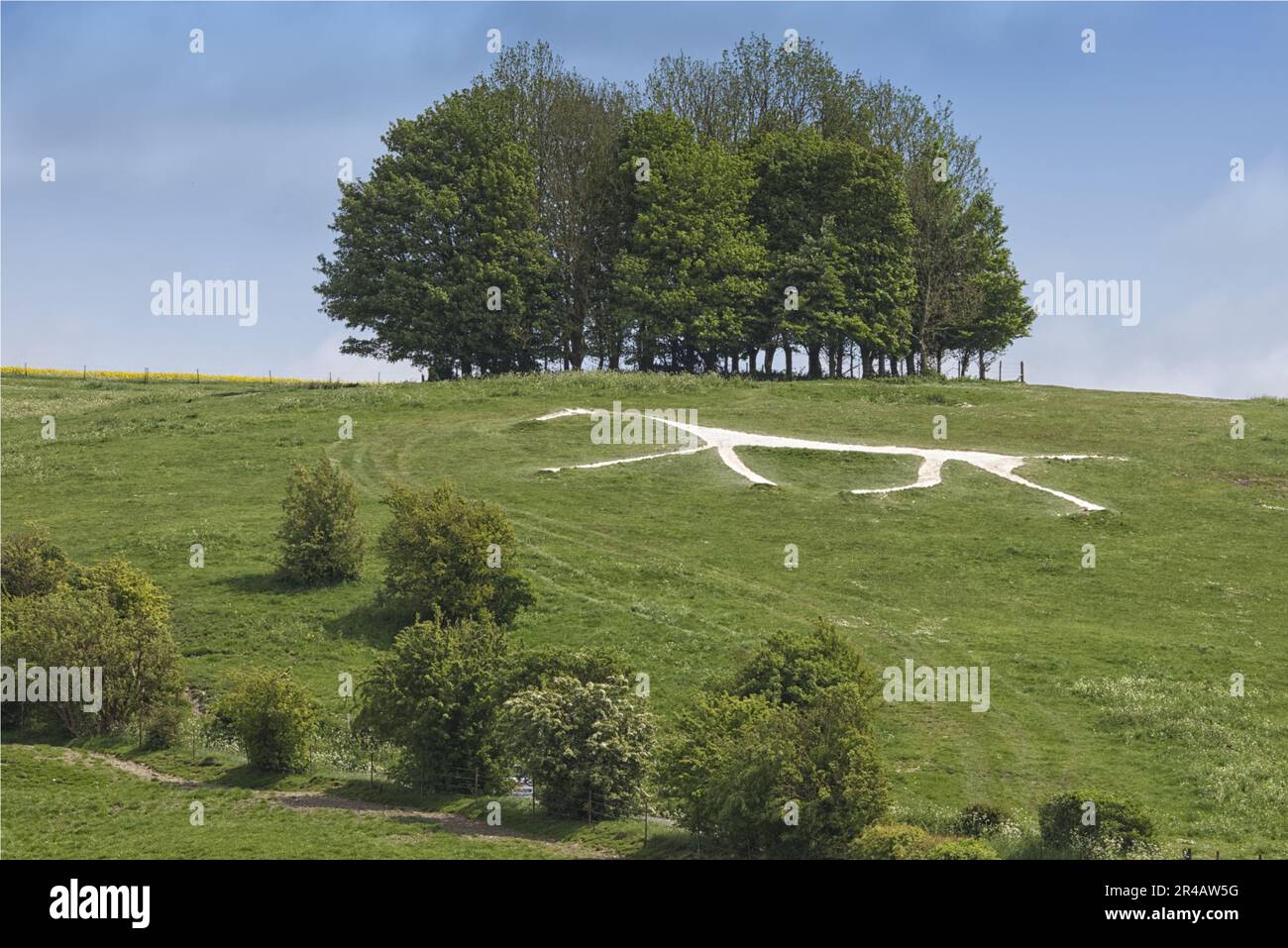 Hackpen Whitehorse, Carved into Britain's hills in Wiltshire Stock Photo