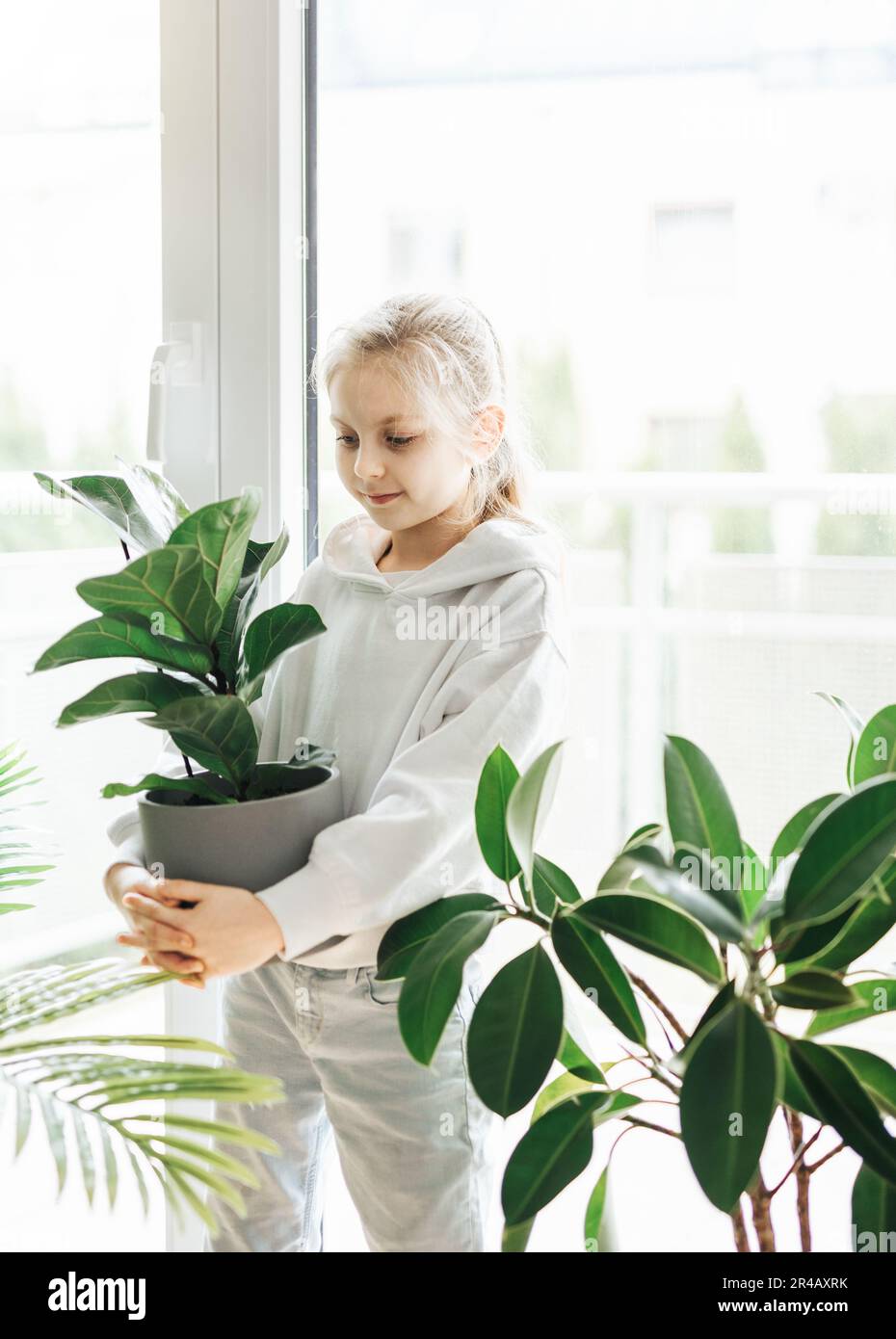 Potted plants at home, held by a cute little girl Stock Photo - Alamy