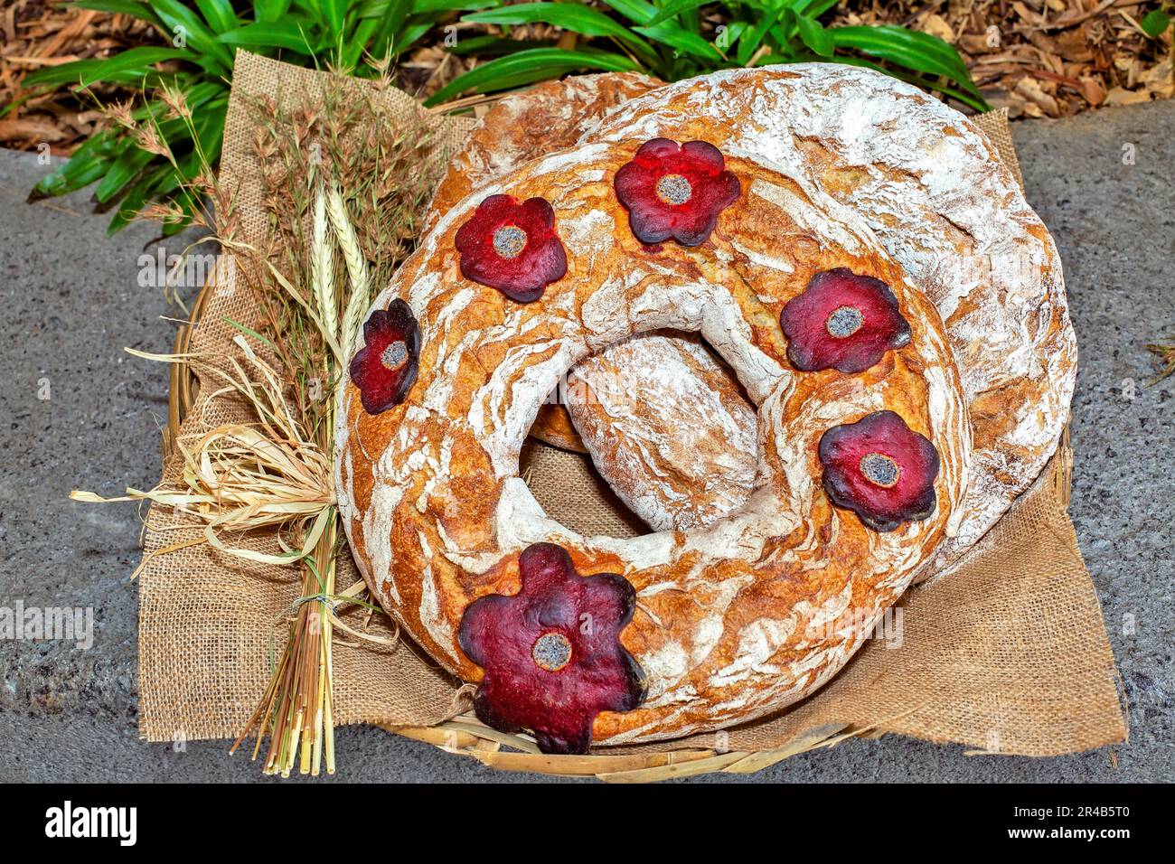 Home made country bread Stock Photo