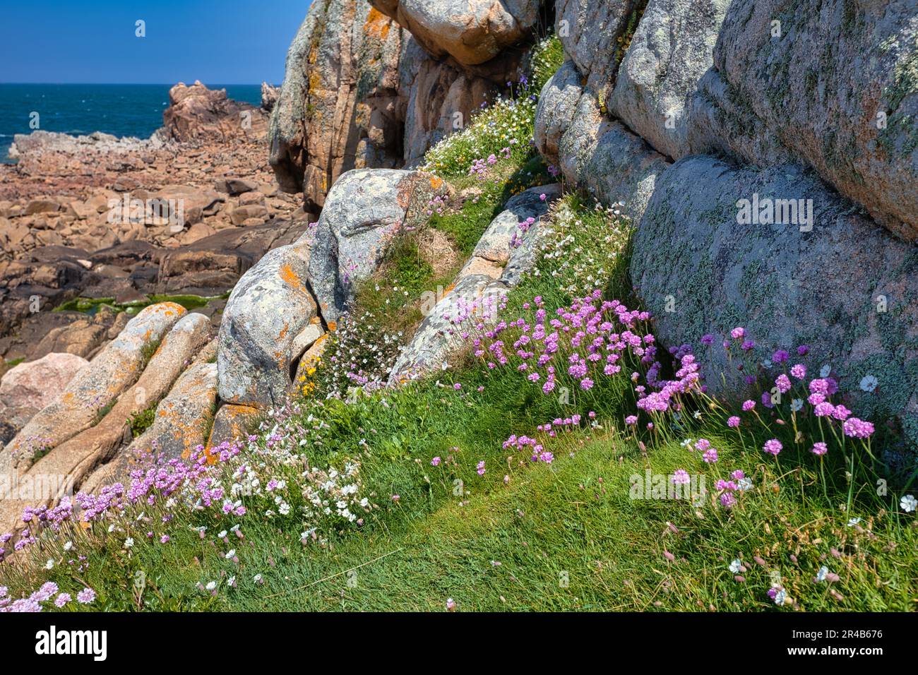 Plougrescant bretagne hi-res stock photography and images - Alamy