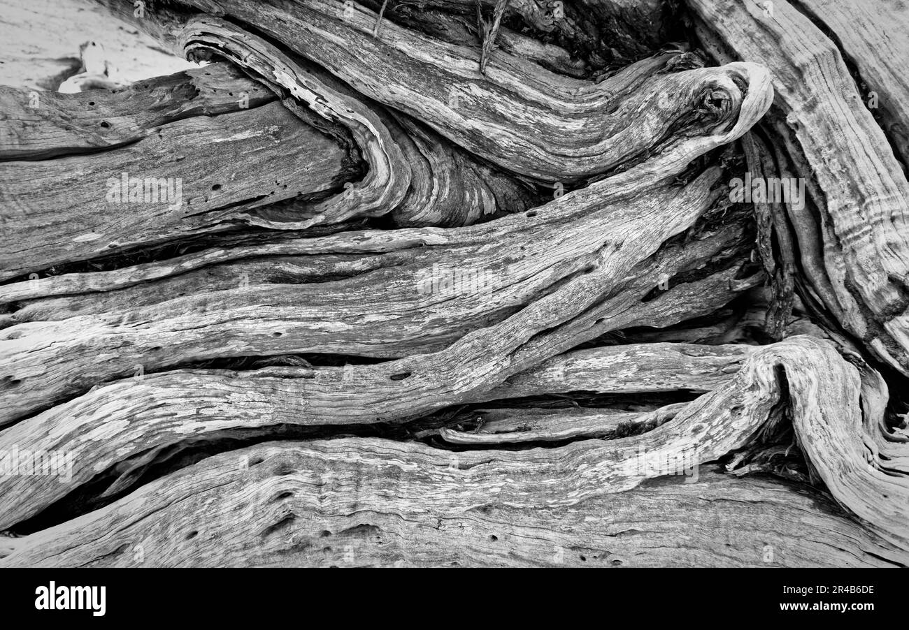 A stack of wooden logs is resting on the ground in a neat pile Stock