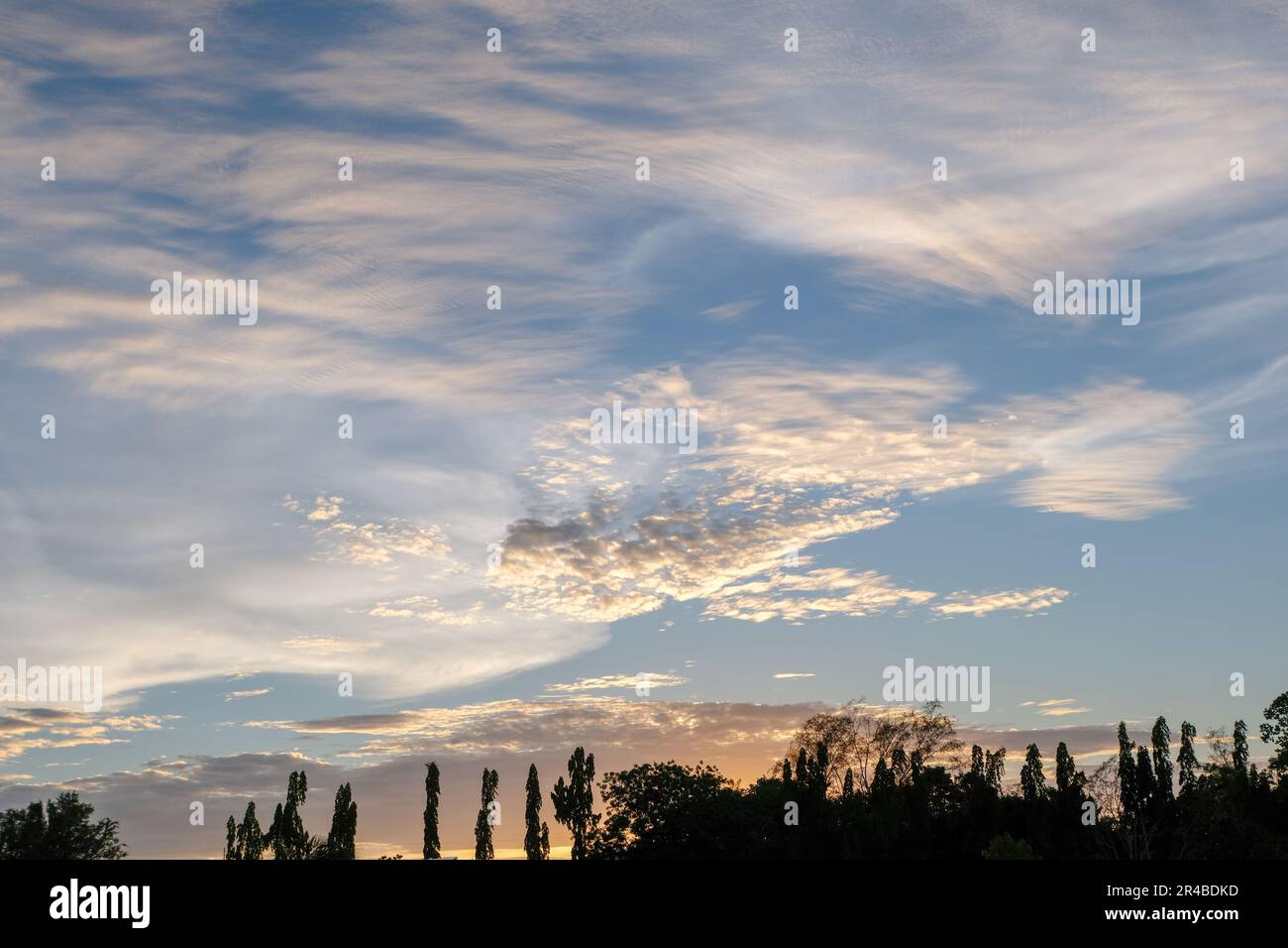 Colorful dramatic sunset sky with silhouette of trees Stock Photo - Alamy
