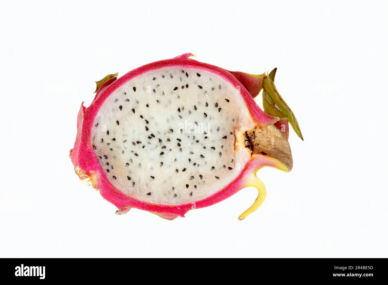 Whitefleshed Pitahaya (Hylocereus undatus), halved, Pitahaya Stock