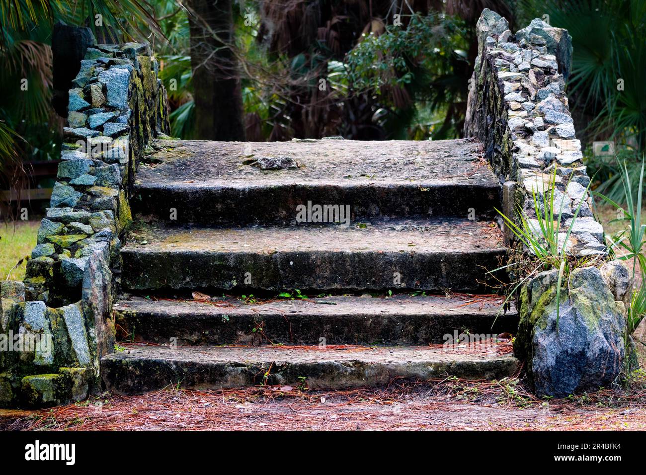 A set of stone steps ascend in an arc form, leading the eye up in an