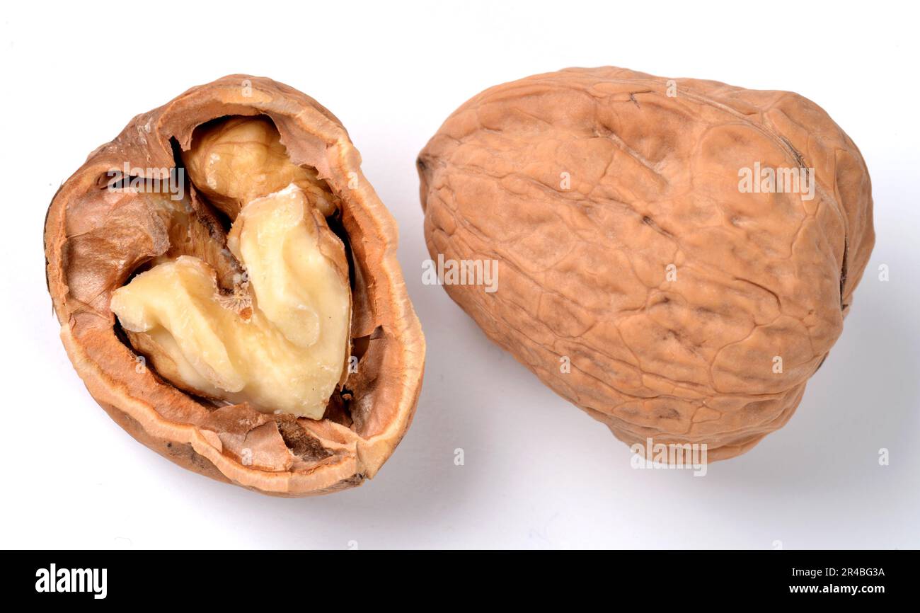 Walnut Open Shell Walnut opened hi-res stock photography and images - Alamy