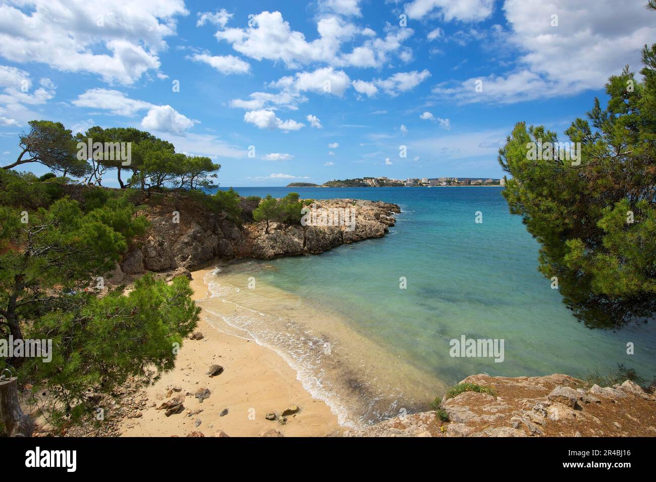 Punta Negra, Palma Nova, Costa d'en Blanes, Majorca, Balearic Islands, Spain Stock Photo