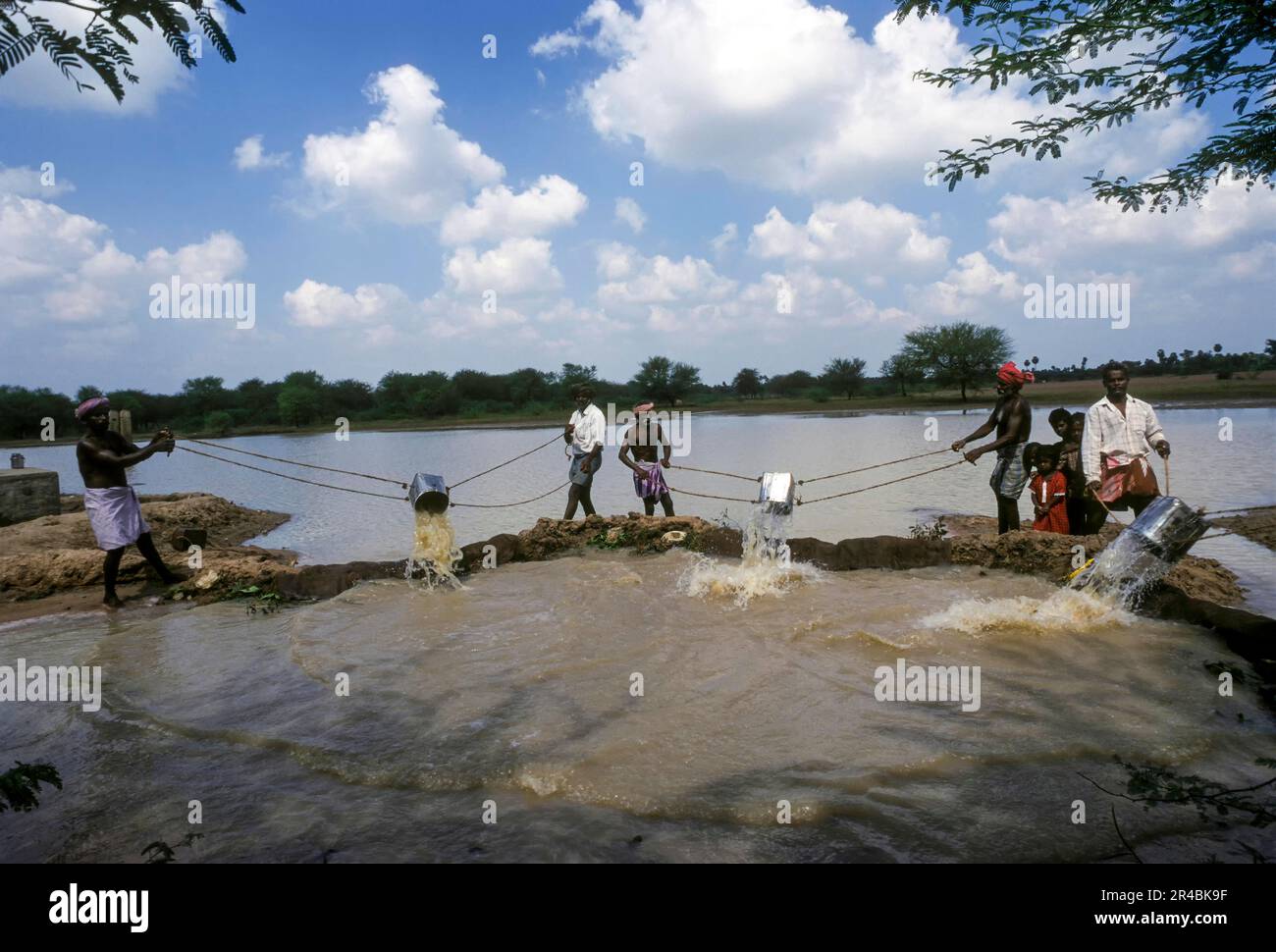 Traditional conventional irrigation from a tank with a tin, Tamil Nadu
