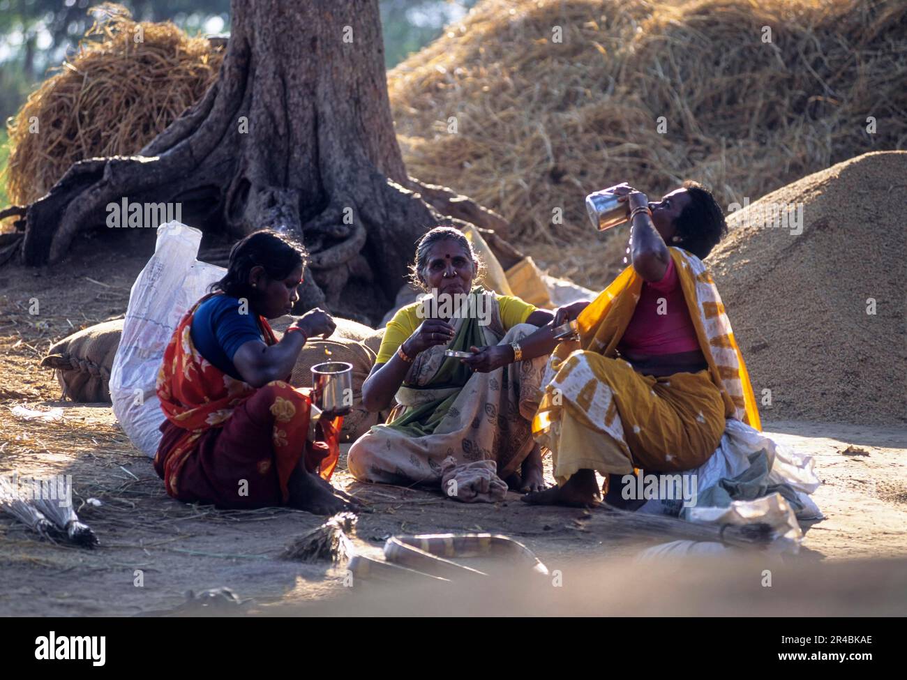 Farmers having lunch, Tamil Nadu, South India, India, Asia Stock Photo