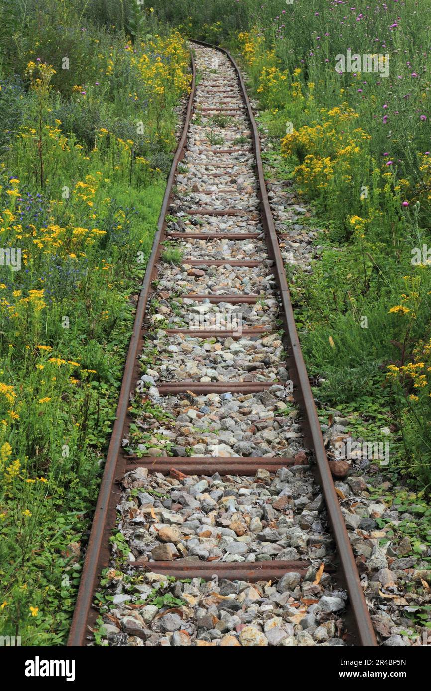 Rail, railroad track, railroad track, track, rails, rails Stock Photo ...