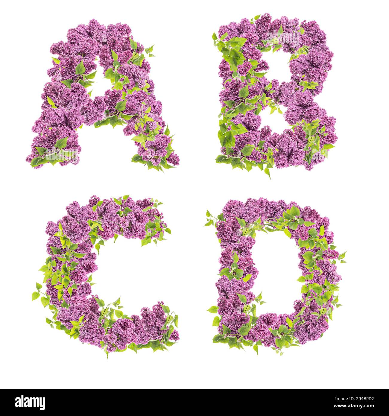 3D rendering of Lilac flowers capital letters alphabet - letters A-D Stock Photo