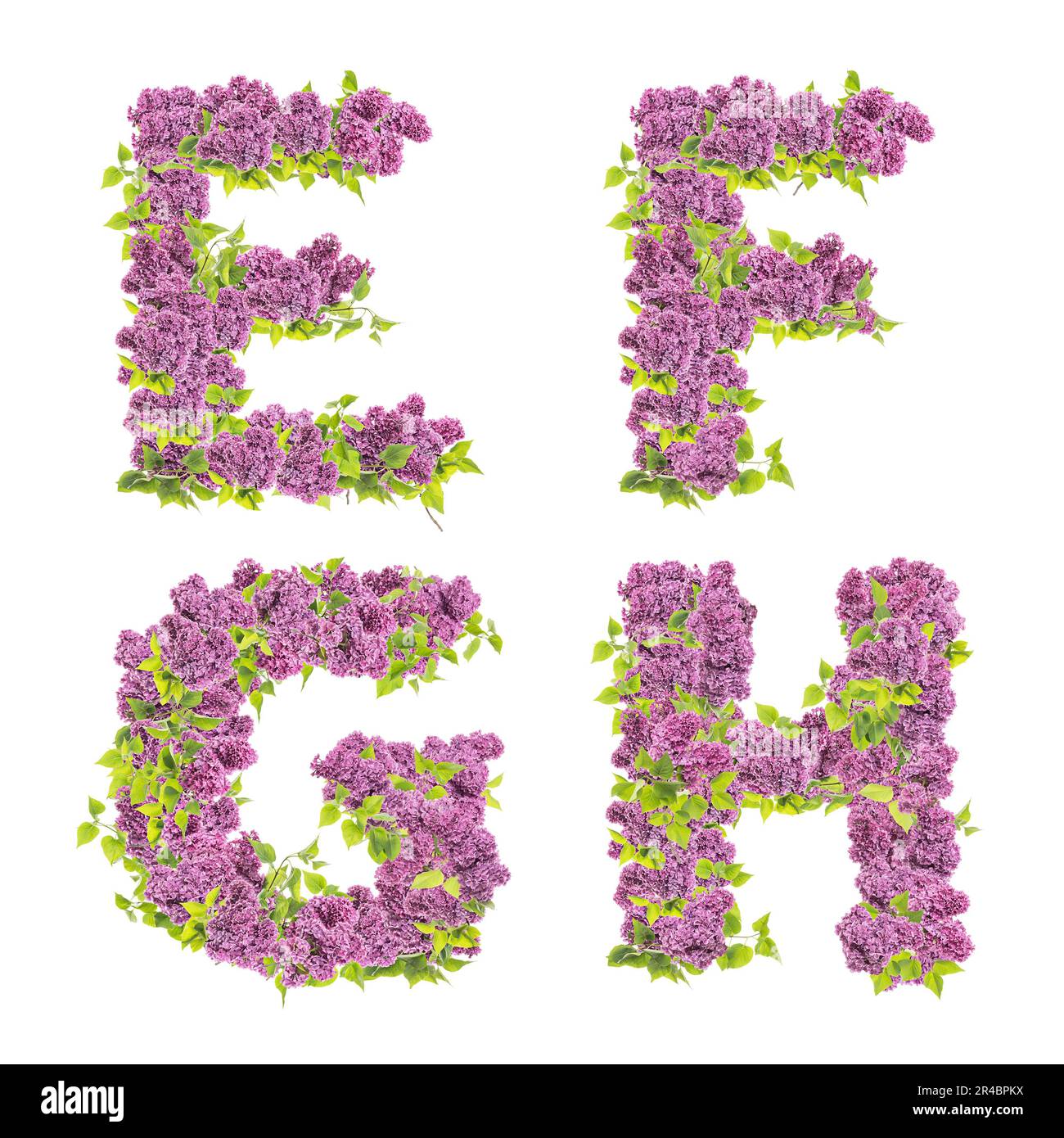3D rendering of Lilac flowers capital letters alphabet - letters E-H Stock Photo