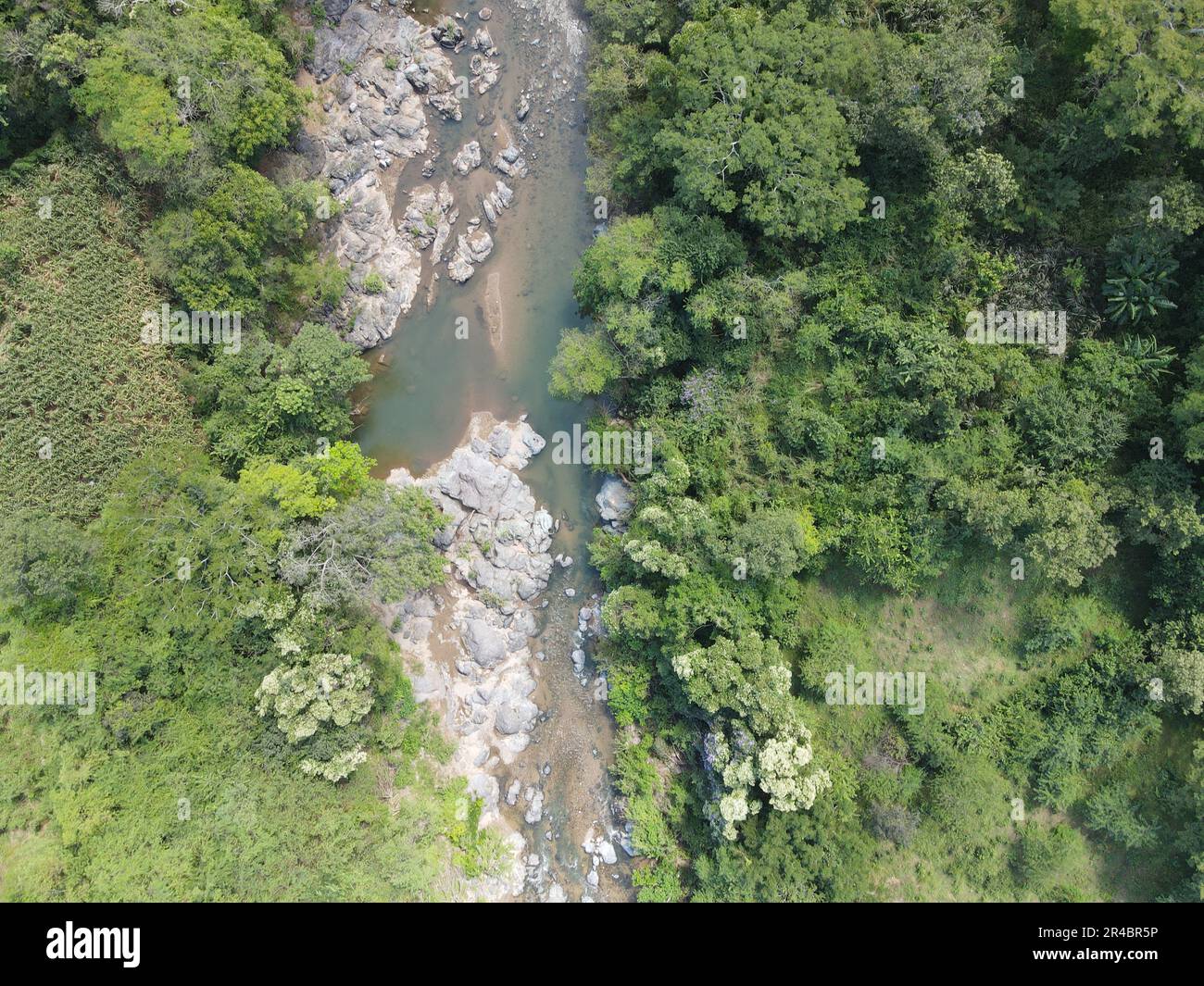 Aerial view of a rocky river, with abundant vegetation on both sides ...