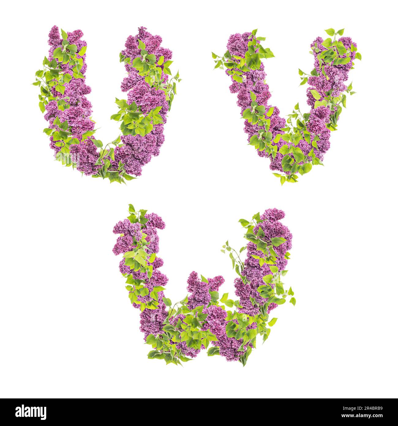 3D rendering of Lilac flowers capital letters alphabet - letters U-W Stock Photo