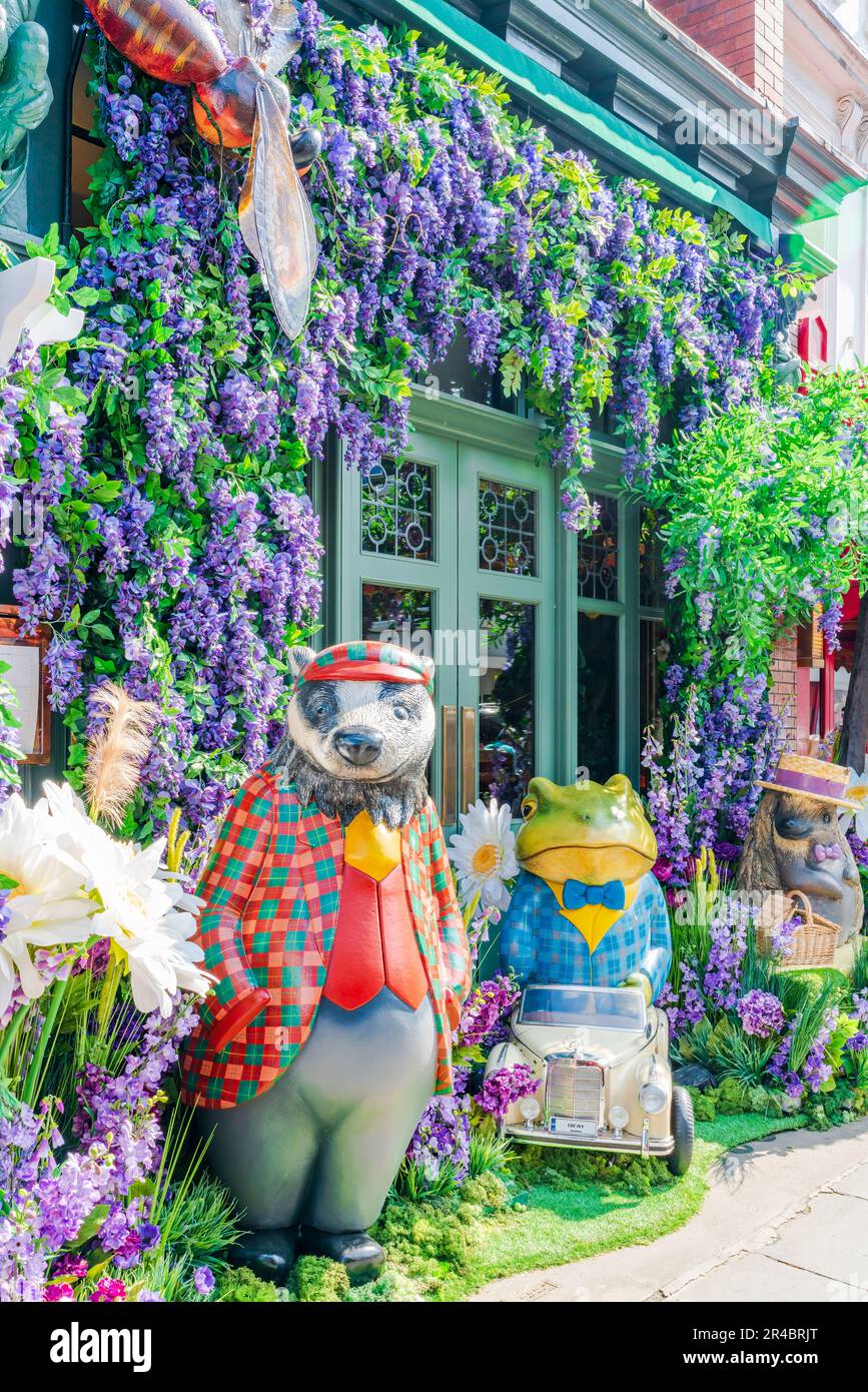 LONDON, UK - MAY 24, 2023: A spectacular floral display decorates window of The Ivy restaurant in Chelsea during Chelsea in Bloom annual floral art sh Stock Photo