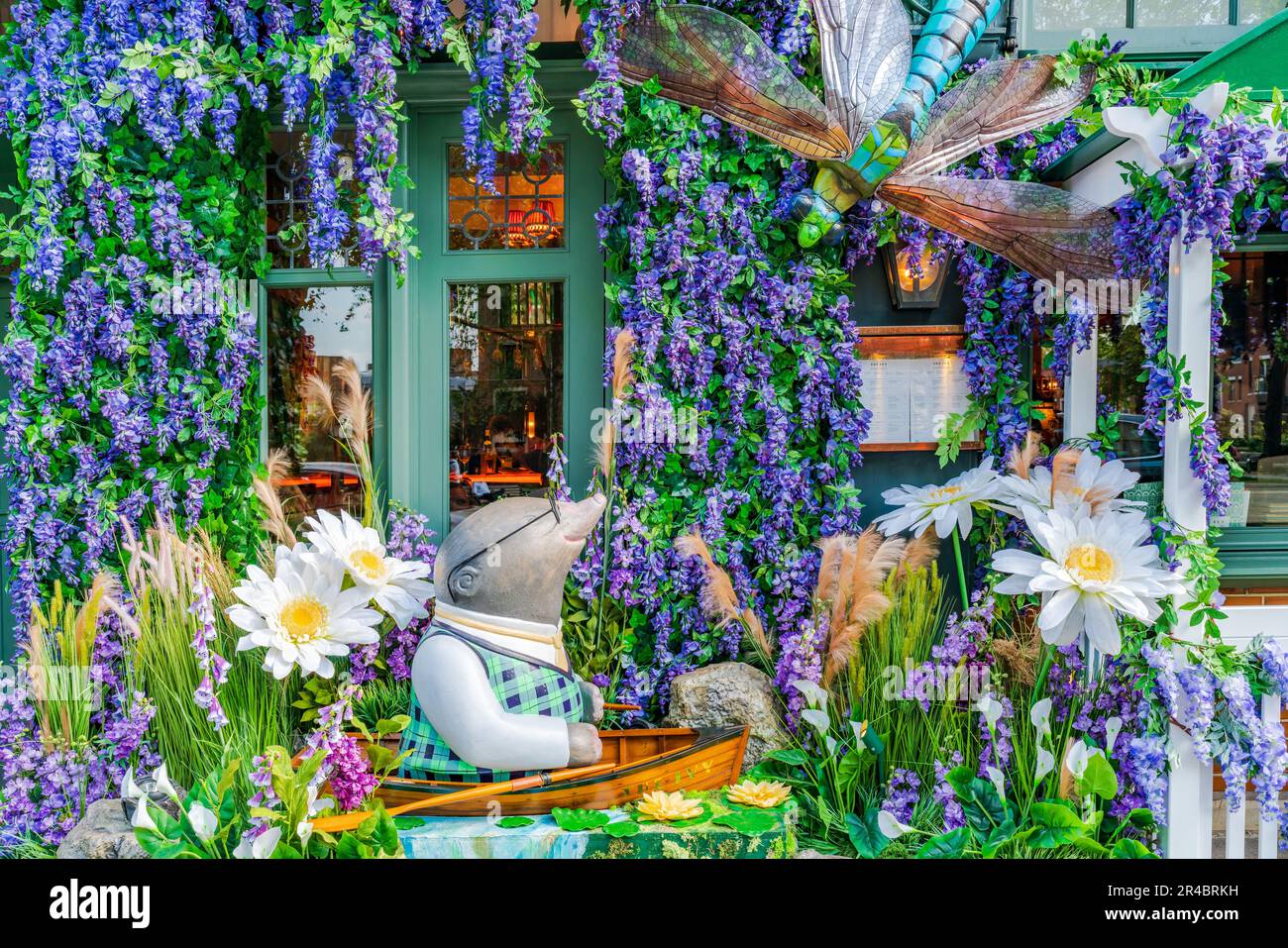 LONDON, UK - MAY 24, 2023: A spectacular floral display decorates window of The Ivy restaurant in Chelsea during Chelsea in Bloom annual floral art sh Stock Photo