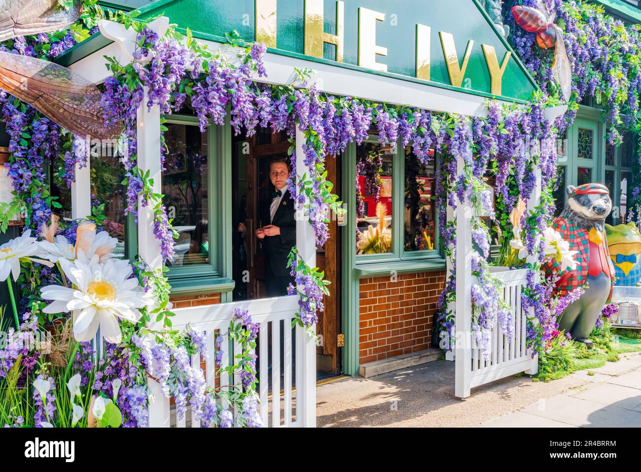 LONDON, UK - MAY 24, 2023: A spectacular floral display decorates window of The Ivy restaurant in Chelsea during Chelsea in Bloom annual floral art sh Stock Photo