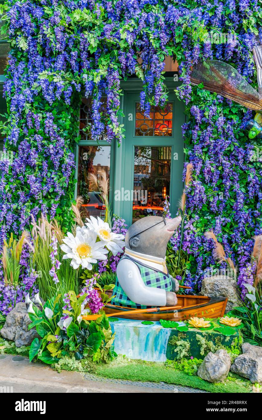 LONDON, UK - MAY 24, 2023: A spectacular floral display decorates window of The Ivy restaurant in Chelsea during Chelsea in Bloom annual floral art sh Stock Photo