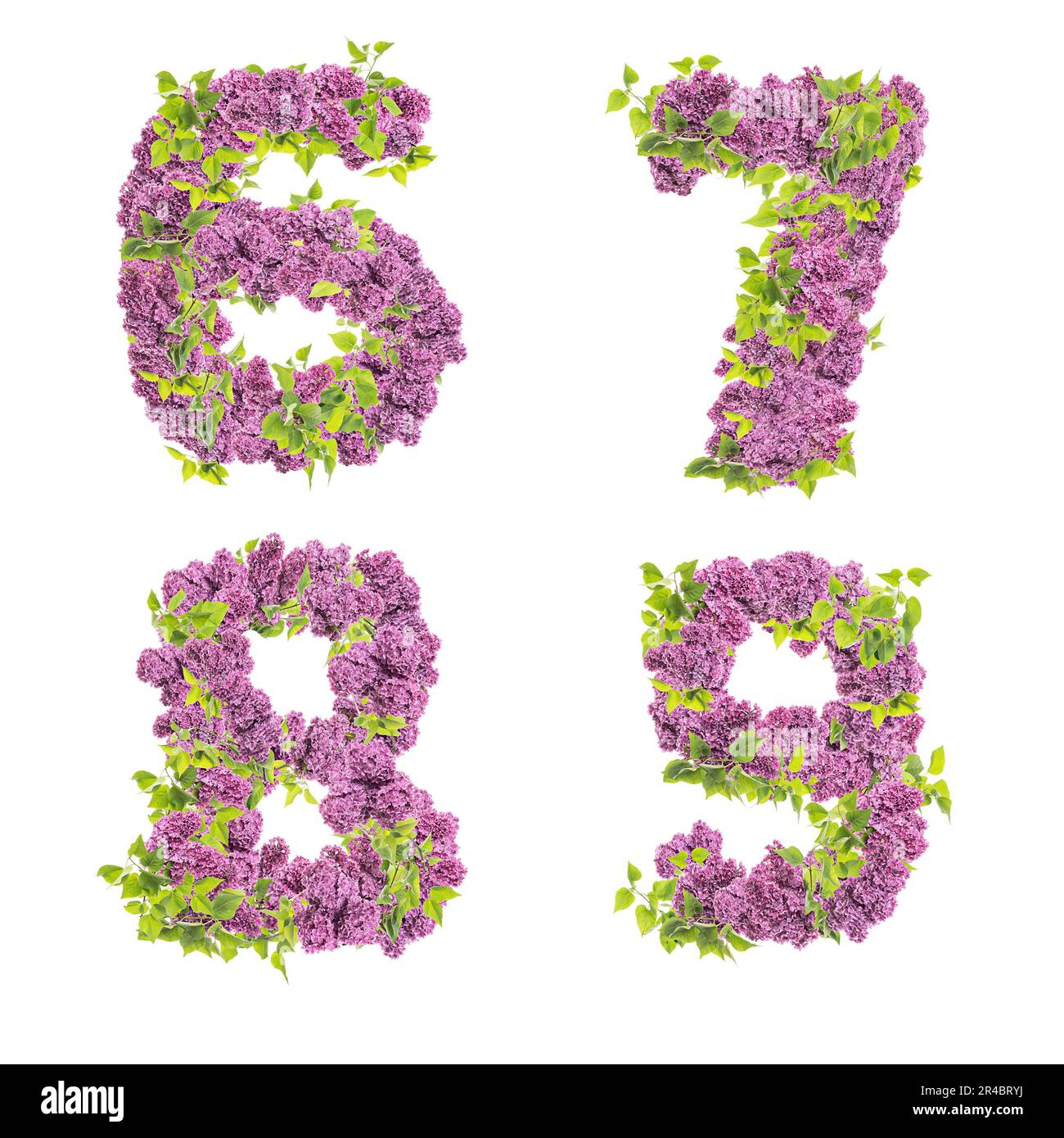 3D rendering of Lilac flowers capital letters alphabet - digits 3-5 Stock Photo
