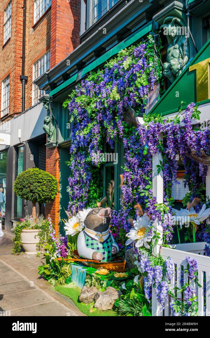 LONDON, UK - MAY 24, 2023: A spectacular floral display decorates window of The Ivy restaurant in Chelsea during Chelsea in Bloom annual floral art sh Stock Photo