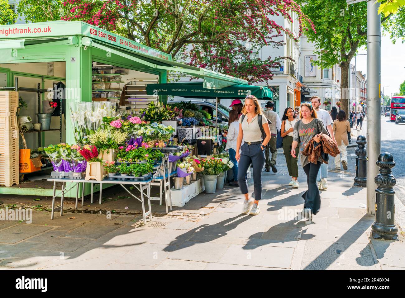 LONDON, UK - MAY 24, 2023: Shoppers walk along King’s Road in Chelsea, a famous upmarket high street lined with high end fashion shops and restaurants Stock Photo