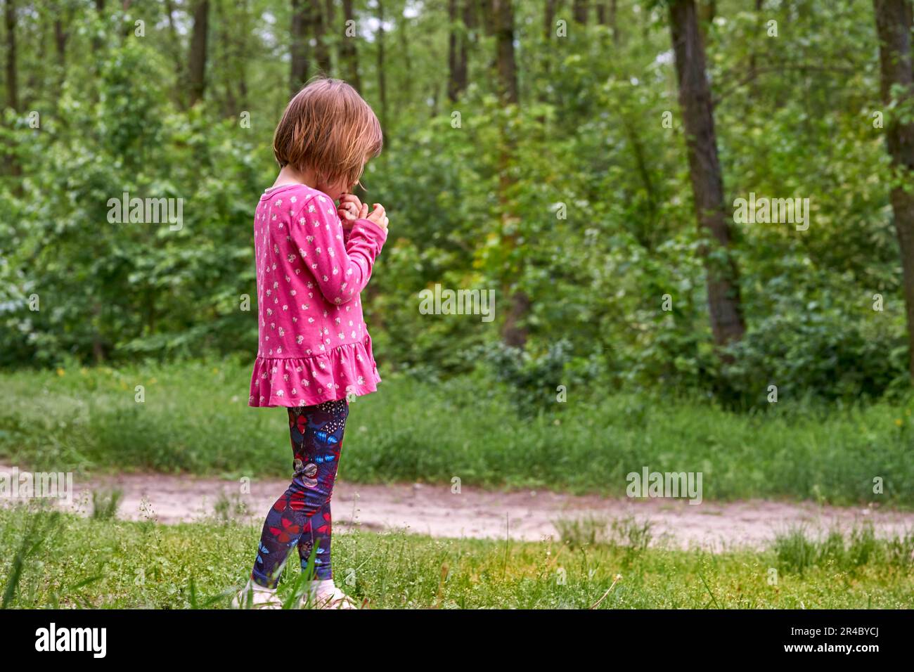A little preschool child girl in a pink dress walks in a green forest ...