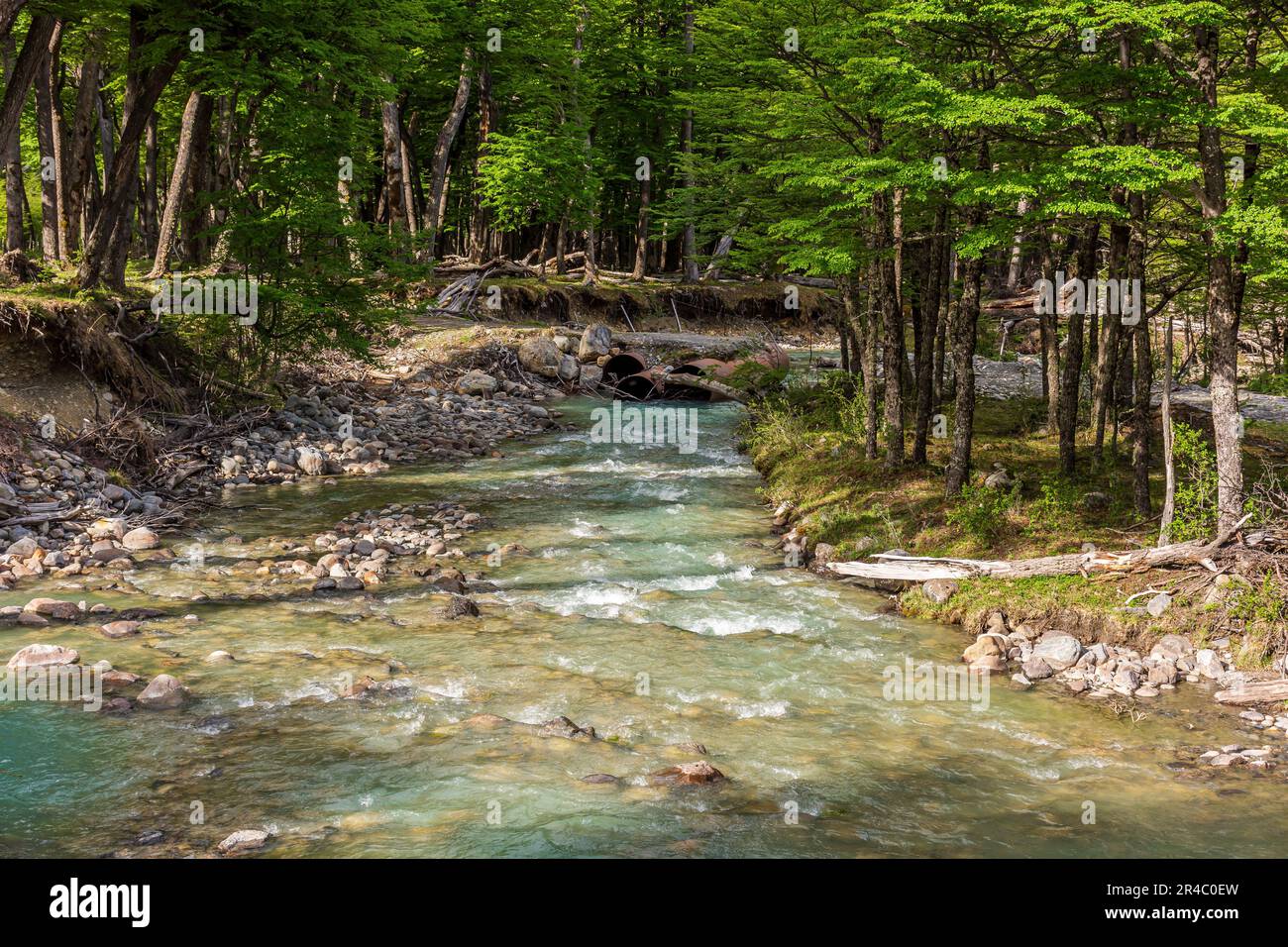 Stream flows through pristine hi-res stock photography and images - Alamy