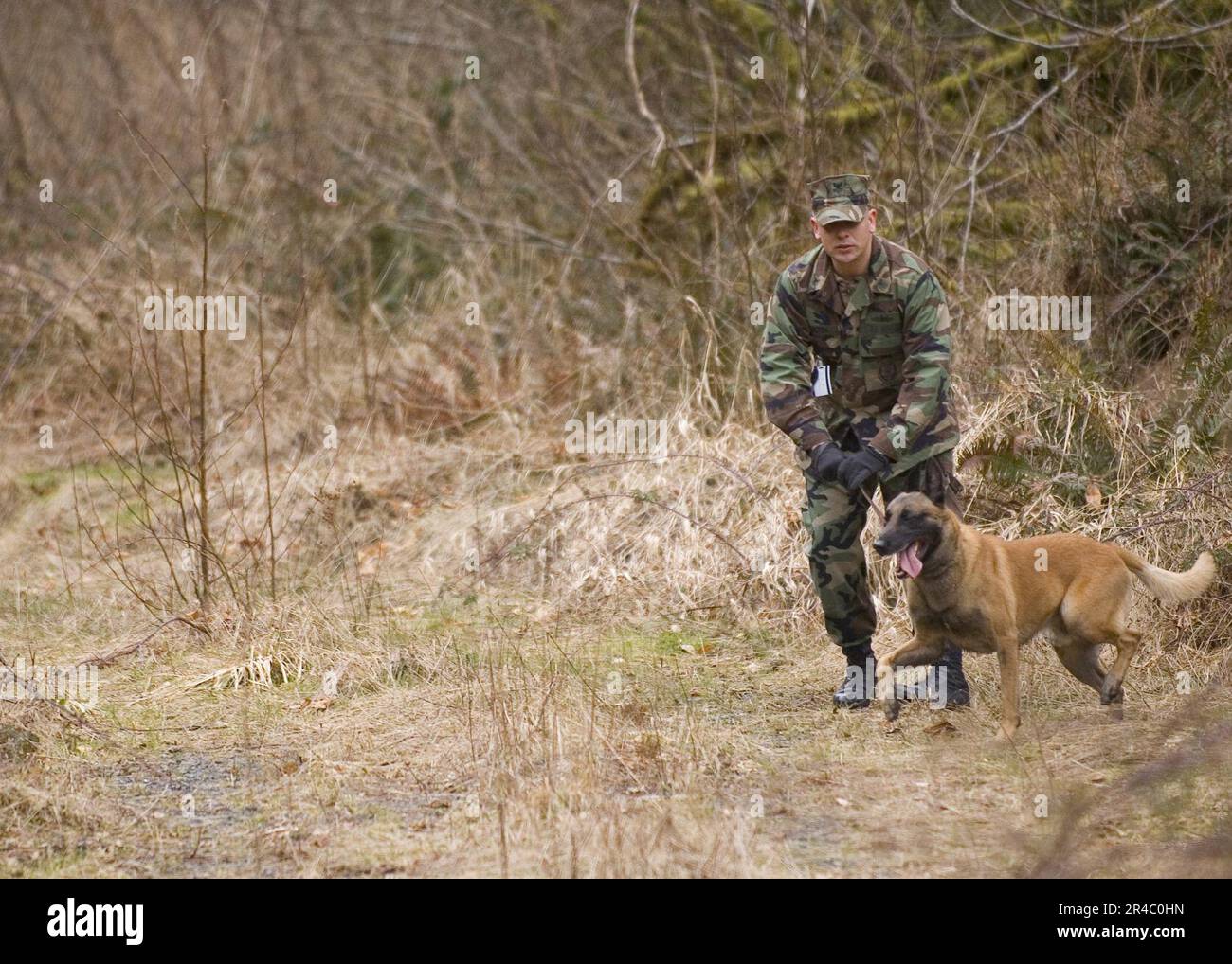 US Navy U.S. Navy dog handler, MasteratArms 2nd Class and his partner