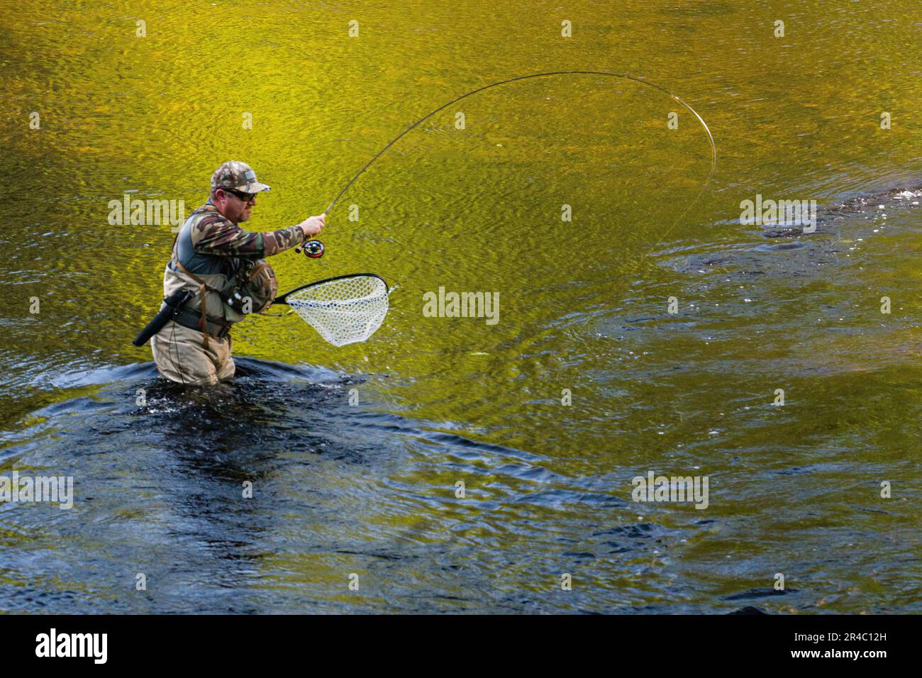 Fisherman the West Branch of the Farmington River American Legion and Peoples State Forests   Barkhamsted, Connecticut, USA Stock Photo