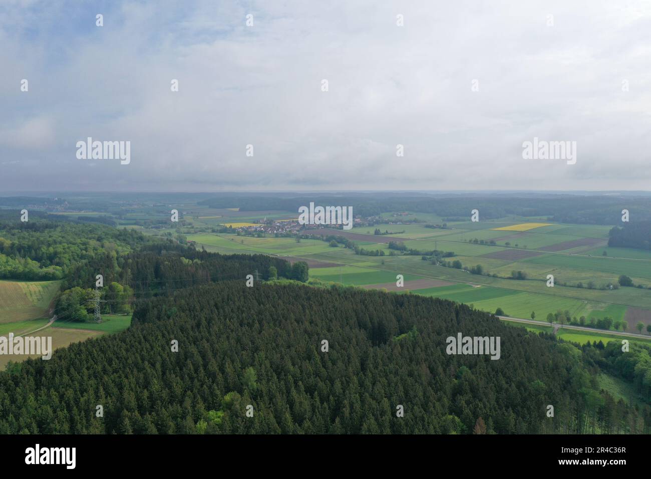Lush dense greenery hi-res stock photography and images - Alamy