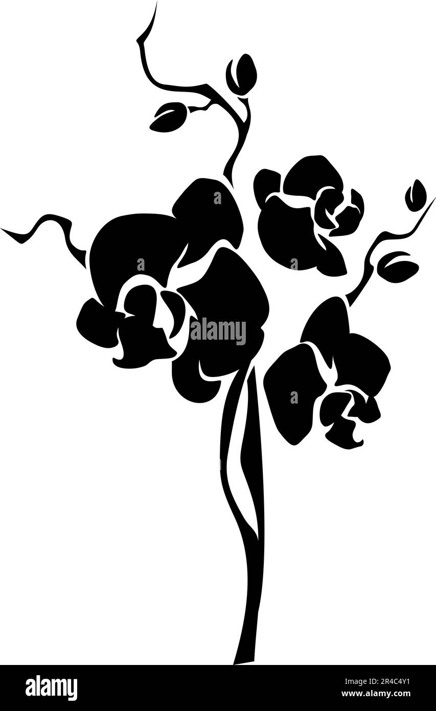 Orchid flowers. Black silhouette of orchid branch isolated on a white