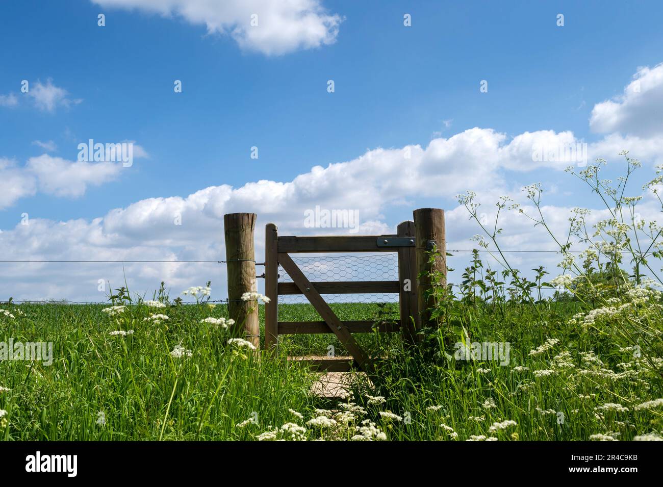 closed gate in open field under blue sky Stock Photo