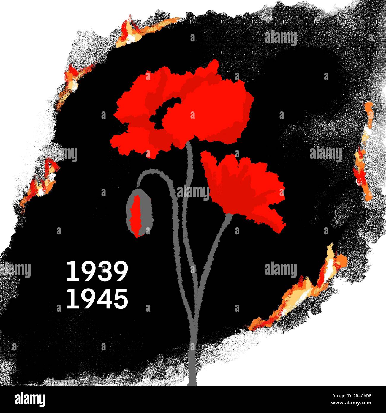 Hand drawn illustration of world war ii two second with red poppies