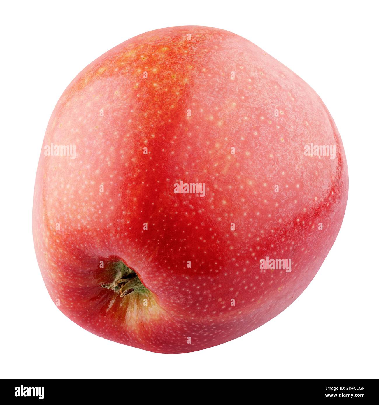 Red apple isolated on white background with clipping path. Full Depth of Field Stock Photo
