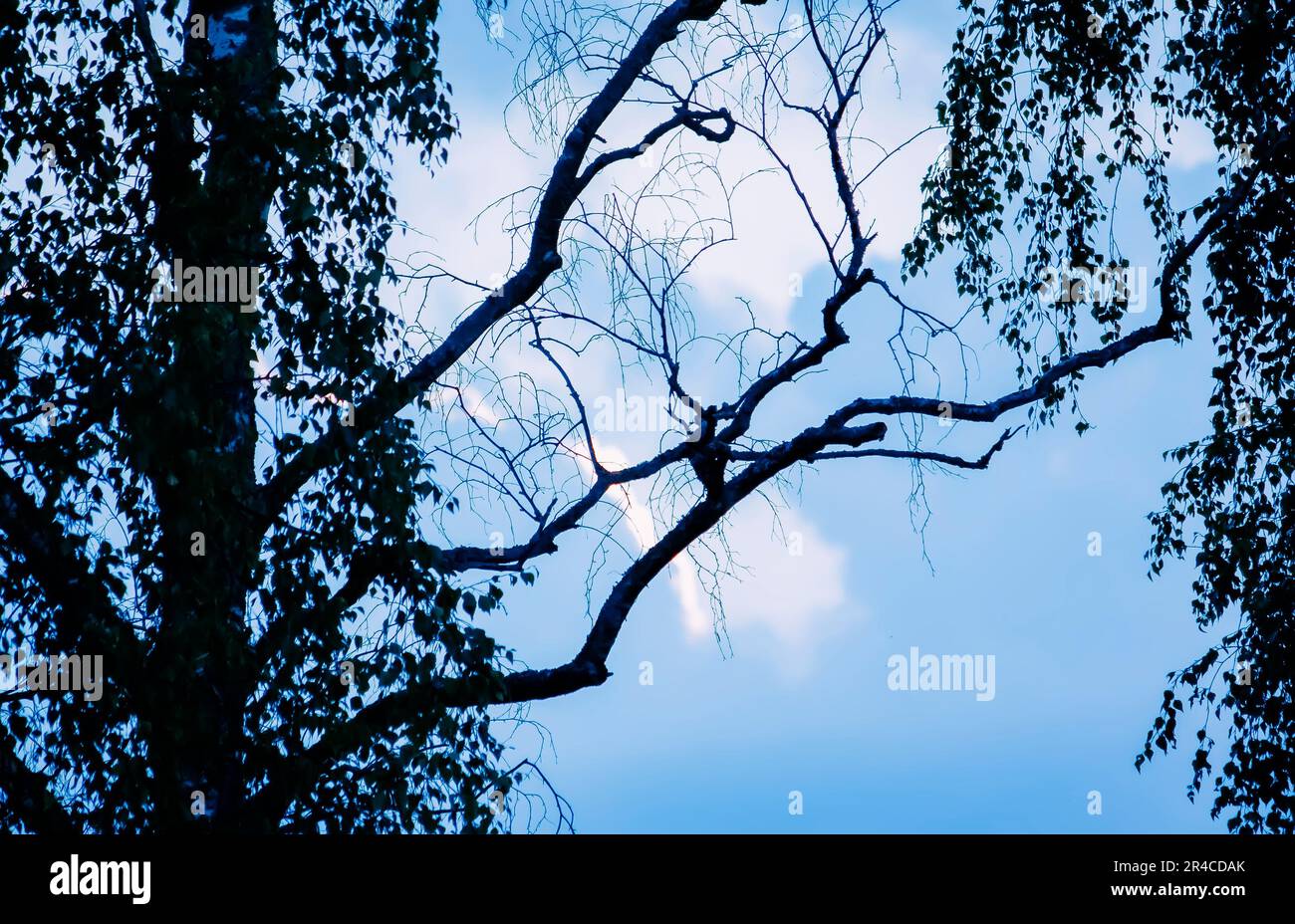 White clouds in blue sky on a warm sunny summer day Stock Photo - Alamy