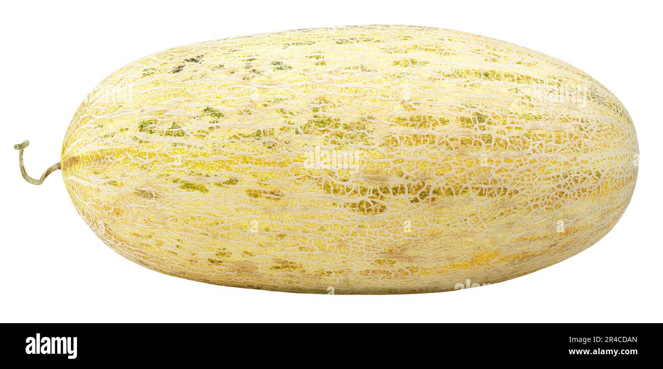 Oval melon isolated on white background. Uzbek Russian melon with clipping path. Full depth of field. Stock Photo