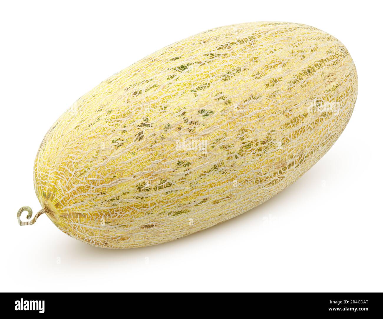 Long oval melon isolated on white background. Uzbek Russian melon with clipping path. Full depth of field. Stock Photo