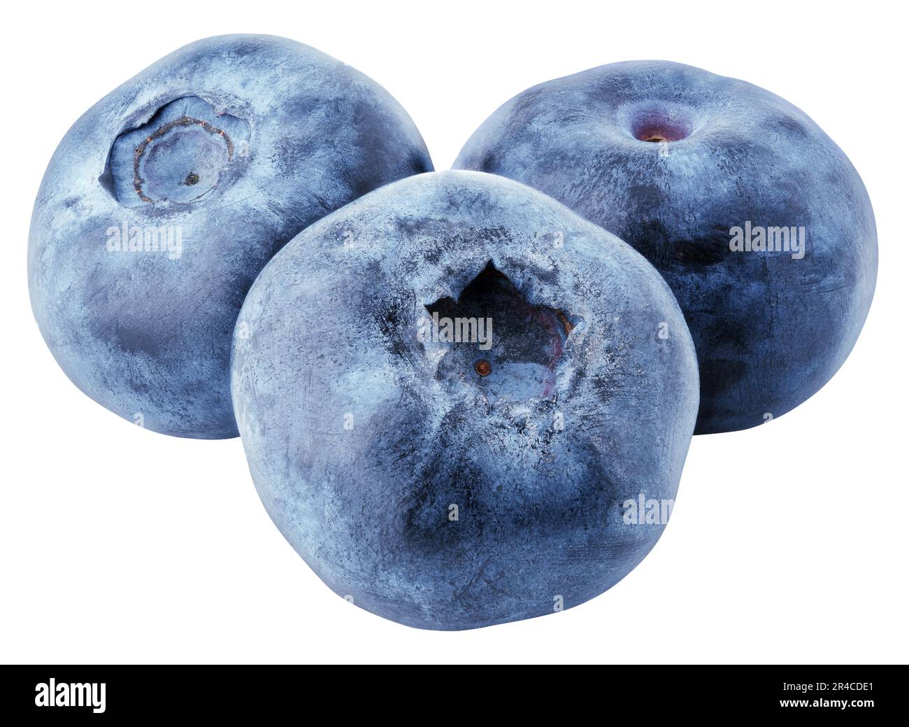 Group of blueberry berry isolated on white background with clipping path. Stock Photo