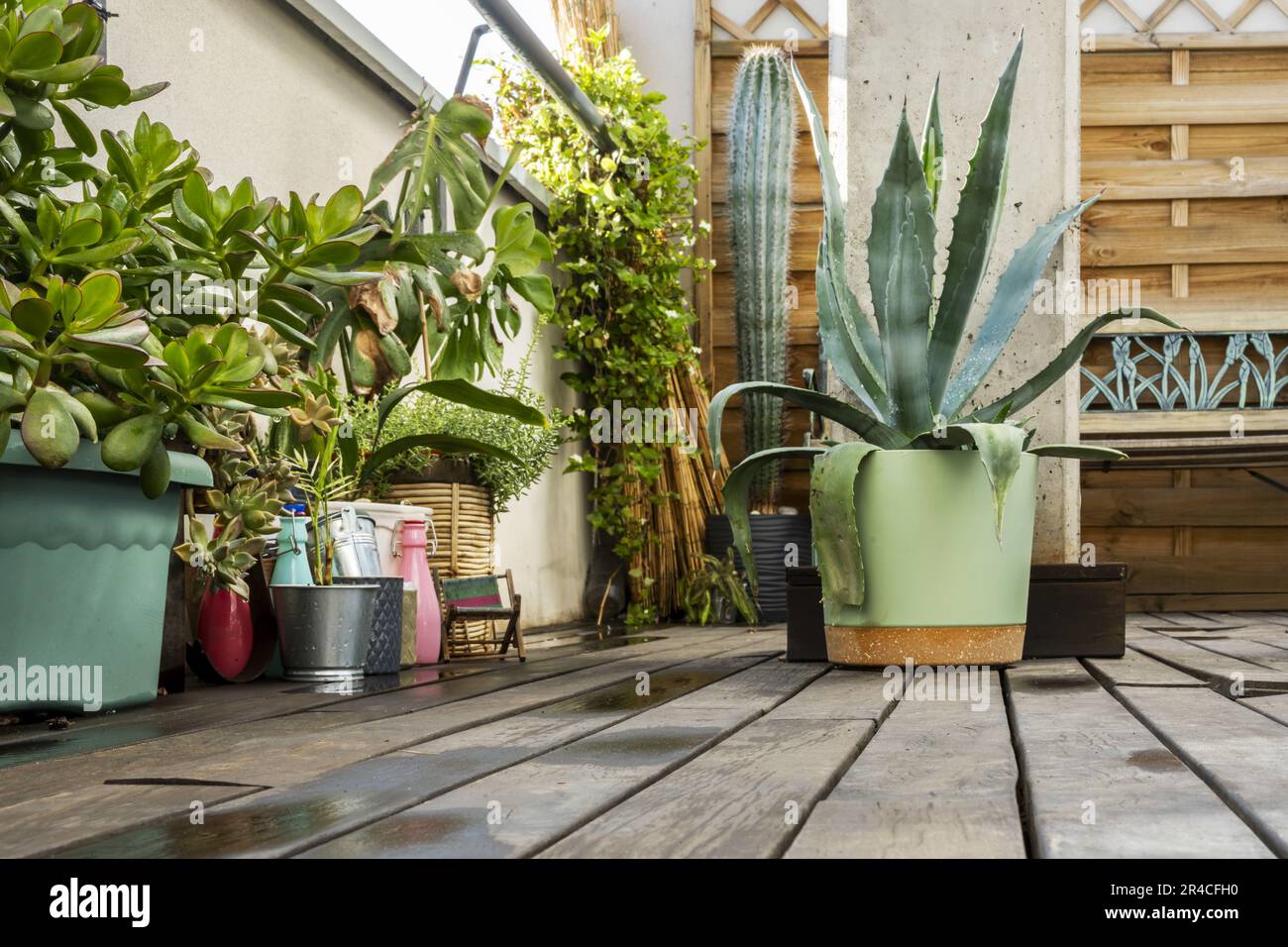 View of A Plant Lover's Industrial Penthouse Loft in Manhattan
