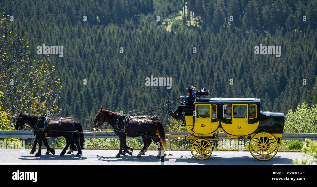 Oberwiesenthal, Germany. 27th May, 2023. Coachmen Anne and Christoph Kaufmann take the historic Oberwiesenthal stagecoach on its first ride since 2019 through Germany's highest town. After an extensive general refurbishment of the four-in-hand carriage with work on the frame, the paintwork, the upholstery and the braking system as well as the replacement of four harnesses of English tension, the carriage will now be used again for tourist purposes from May to October. Credit: Kristin Schmidt/dpa-Zentralbild/ZB/dpa/Alamy Live News Stock Photo