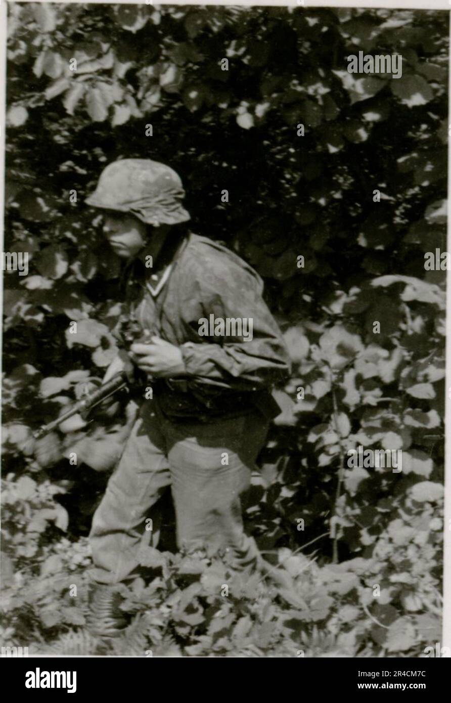 Soldiers waffen ss combat eastern front hi-res stock photography and ...