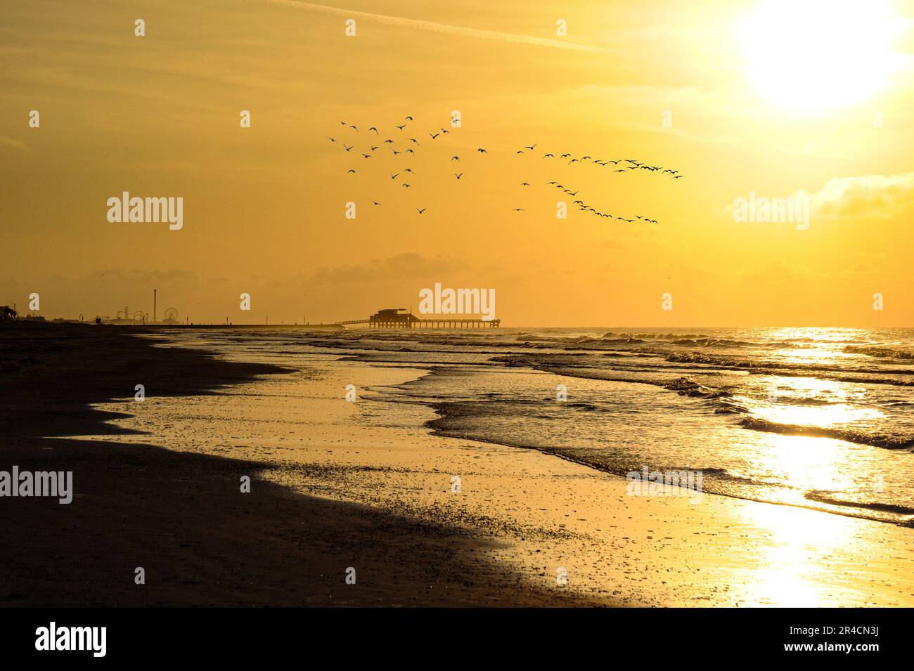 On Galveston Island in Texas, a swarm of seagulls soars above the water