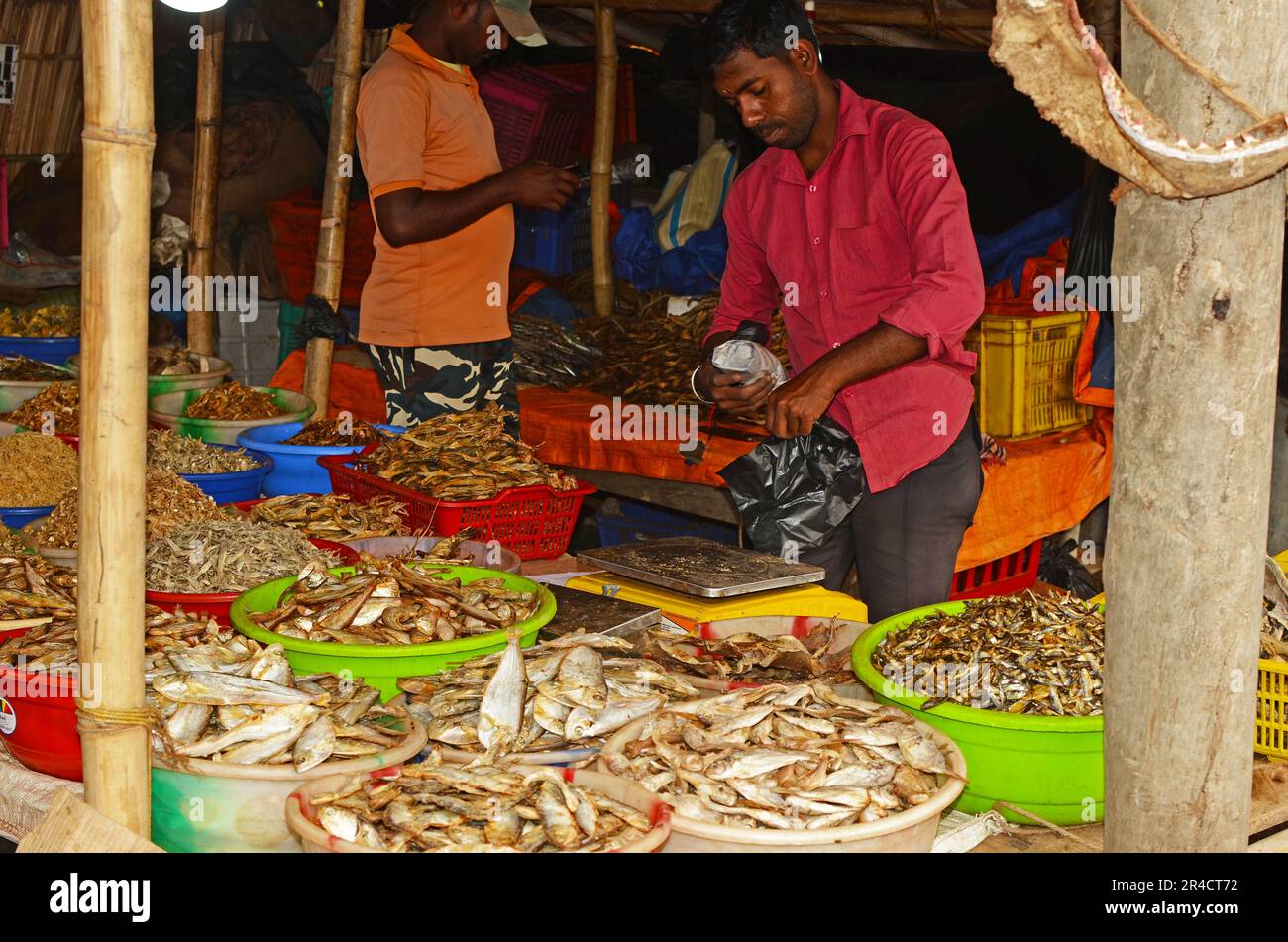 indian fish cutting shope Stock Photo