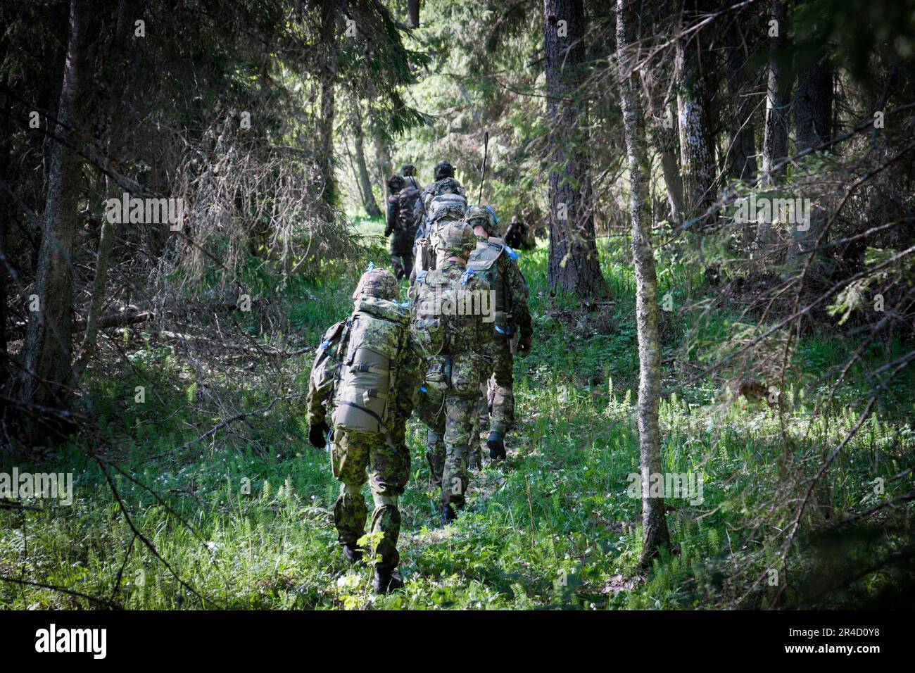 French and Estonian soldiers are seen in the woods during an exercise near Viitna, Estonia on 20 May, 2023. Estonia is hosting the Spring Storm NATO exercises involving over 13 thousand personnel with US, German, British, French and Polish forces training together with the Estonian Defence Forces (eDF). (Photo by Jaap Arriens / Sipa USA) Stock Photo
