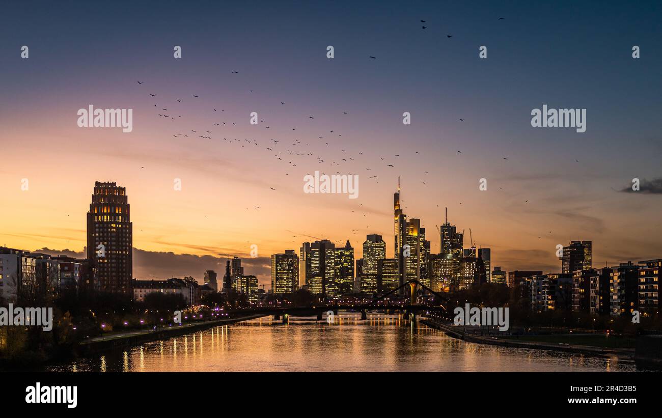 A stunning aerial view of a city skyline at dusk, with multiple birds ...