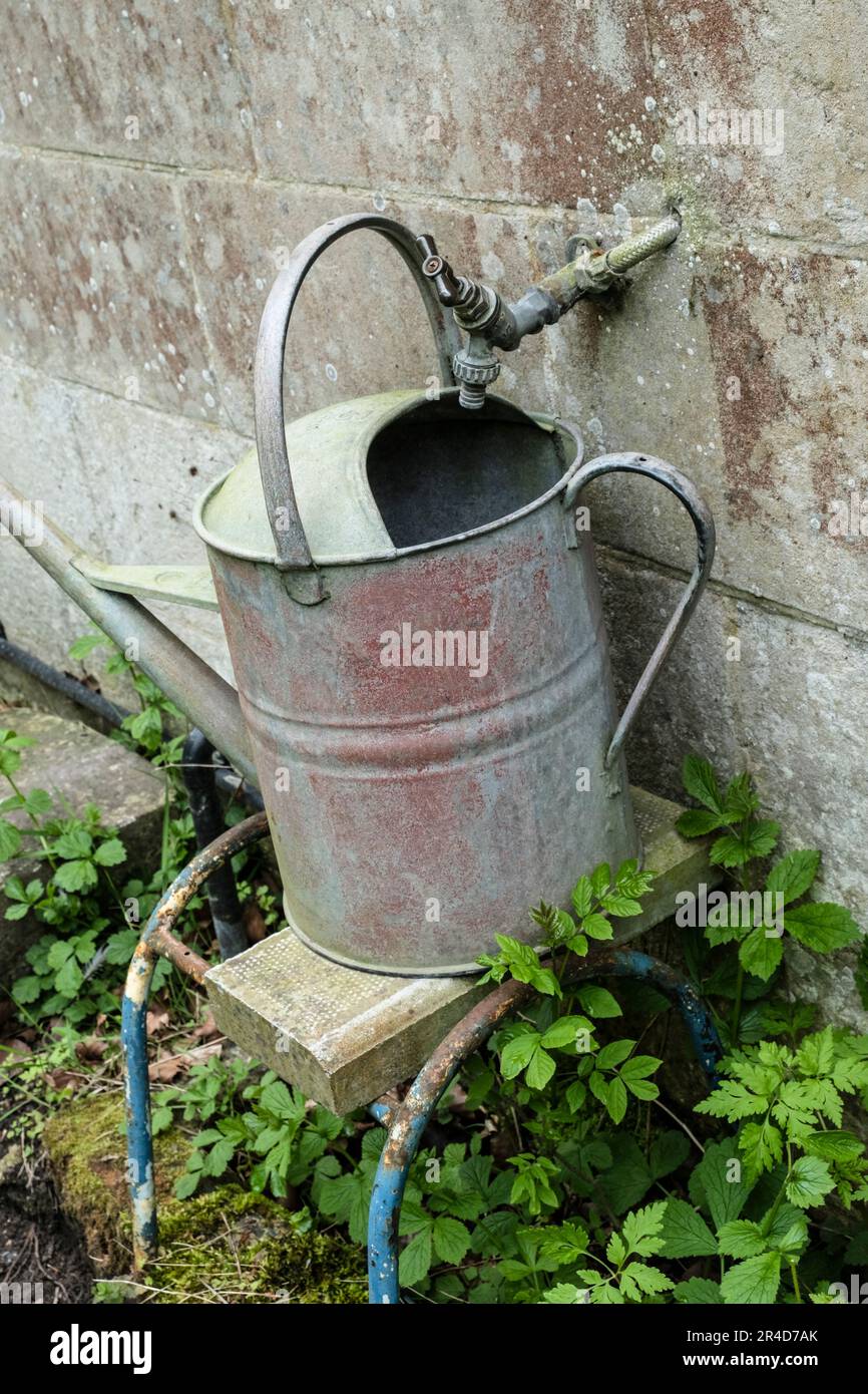 Old galvanised watering can underneath an external tap, again old Stock