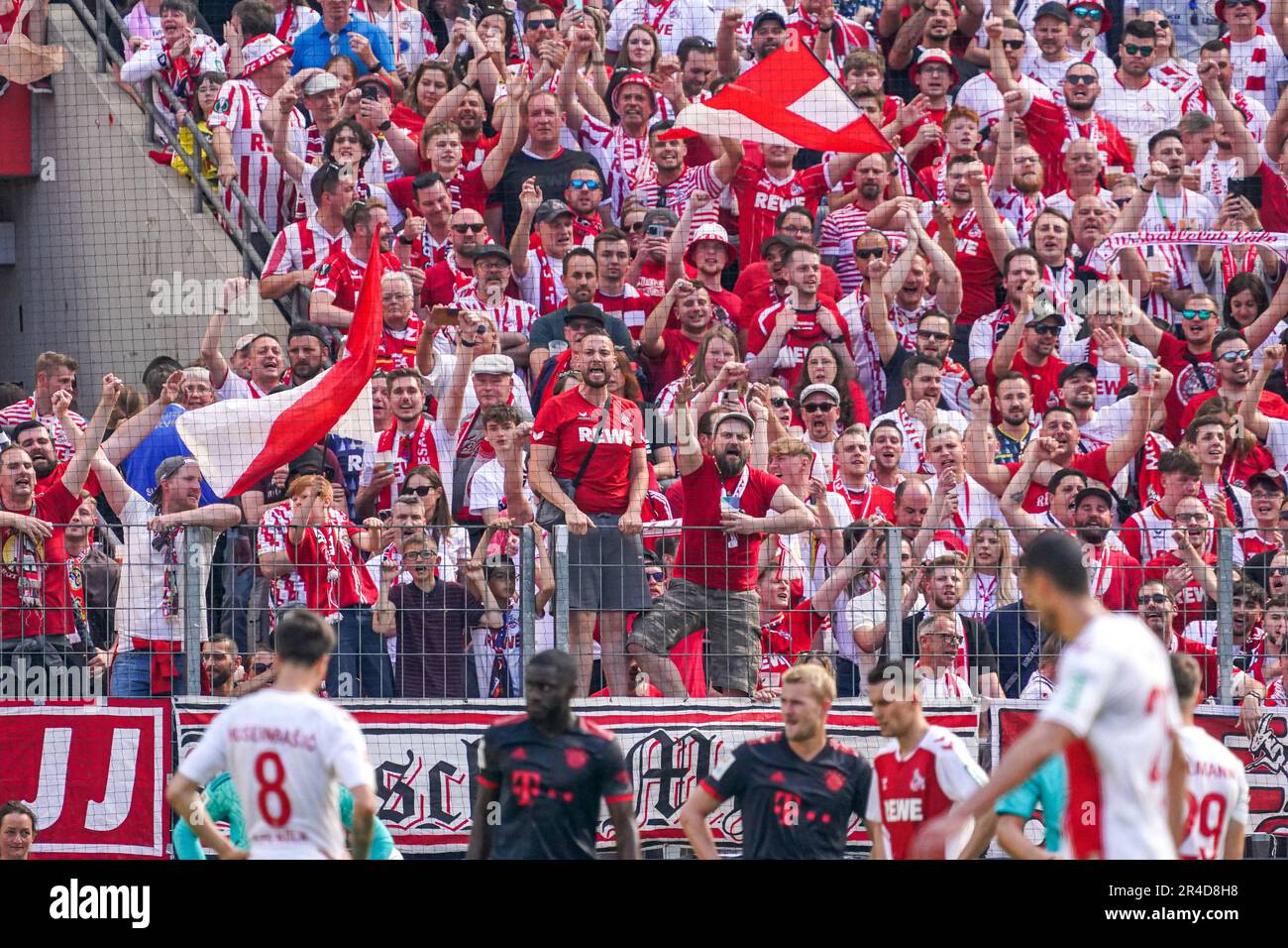 COLOGNE, GERMANY - MAY 27: 1. FC Koln fans during the Bundesliga match between 1. FC Koln and FC Bayern Munchen at the RheinEnergieStadion on May 27, 2023 in Cologne, Germany (Photo by Rene Nijhuis/Orange Pictures) Credit: Orange Pics BV/Alamy Live News Stock Photo