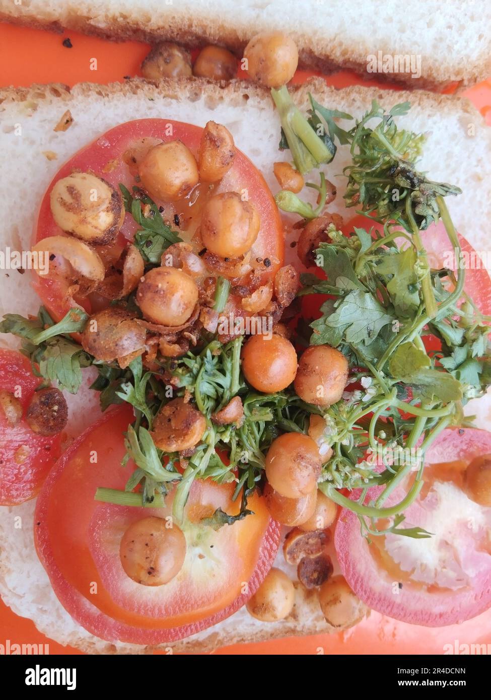 Vegetarian sandwich made up of bread, tomatoes and coriander leaves for