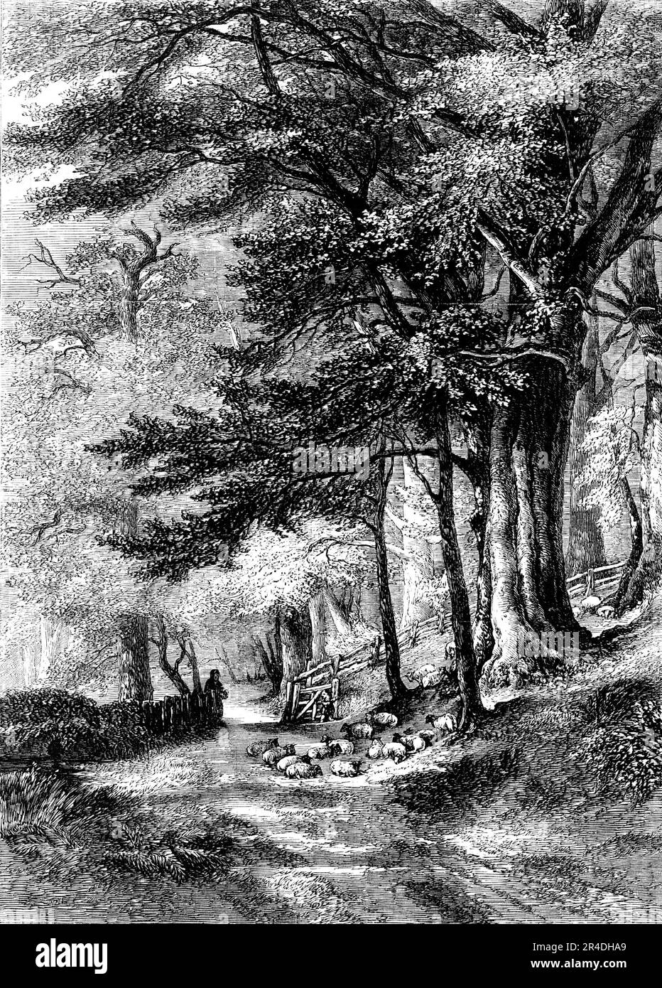 &quot;Entrance to the Fore Walk, Wotton, Surrey&quot; - painted by G. Barnard - from the Exhibition of the National Institution of Fine Arts, 1856. Engraving of a painting. 'The view is in Surrey, in the grounds of John Evelyn, at Wootton - classic ground - trod in summer with reverential feet by the many admirers of a perfect model of an old English gentleman'. From &quot;Illustrated London News&quot;, 1856. Stock Photo