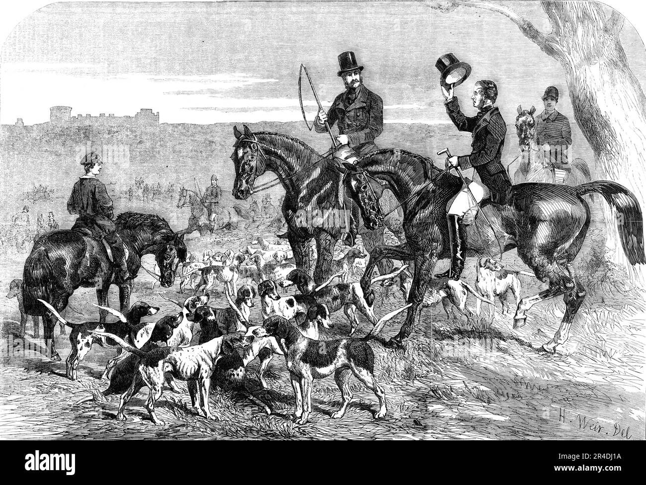 H.R.H. Prince Albert's Harriers, 1856. Hare-coursing in Berkshire. 'Prince Albert's harriers are in the strictest sense of the term a private pack, kept by his Royal Highness for his own amusement, under the management of Colonel Hood...The hounds were...of medium size, with considerable variety of true colours...we soon found a stout hare that gave us an opportunity of seeing and admiring the qualities of the pack... just as we were squaring our shoulders and settling down to take a very uncompromising hedge with evident signs of a broad ditch of running water on the other side, the hounds th Stock Photo